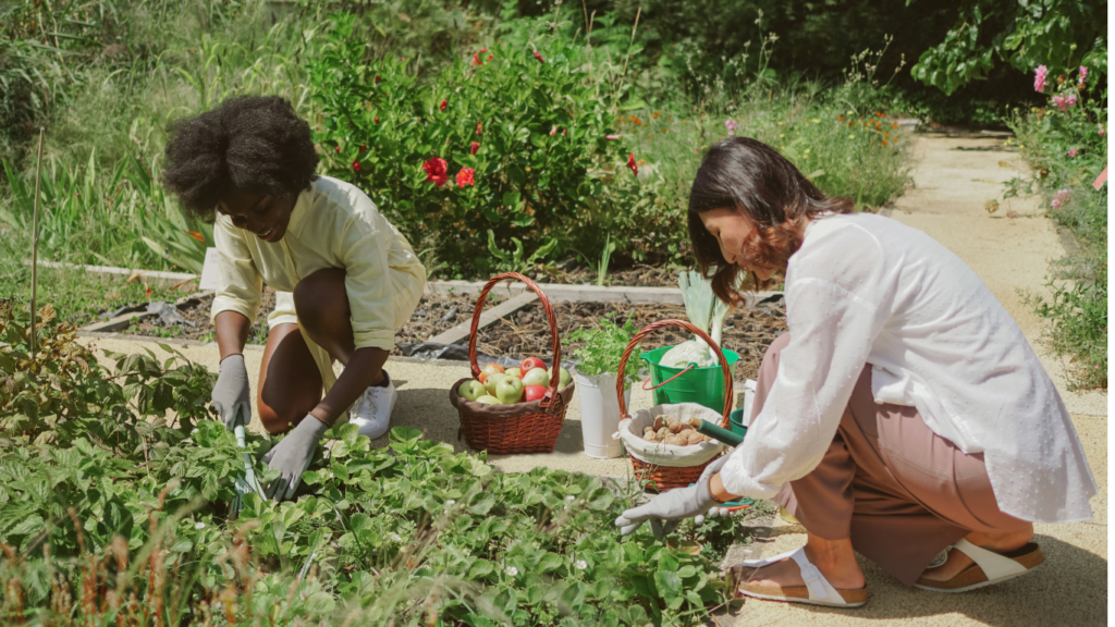 Urban Gardening for Fresh Food|Urban Gardening|Urban Gardening|