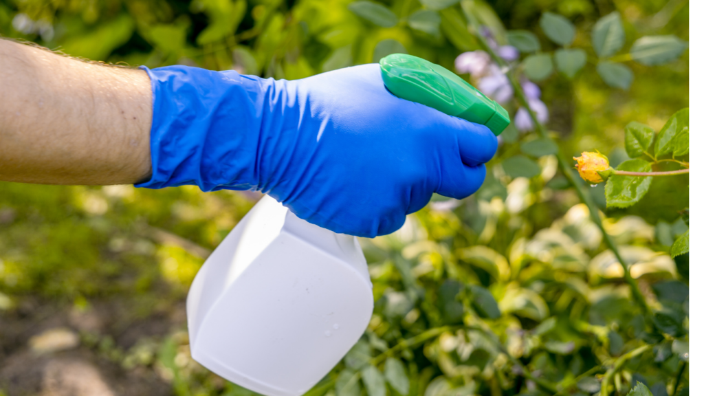 Organic Pest Control Methods