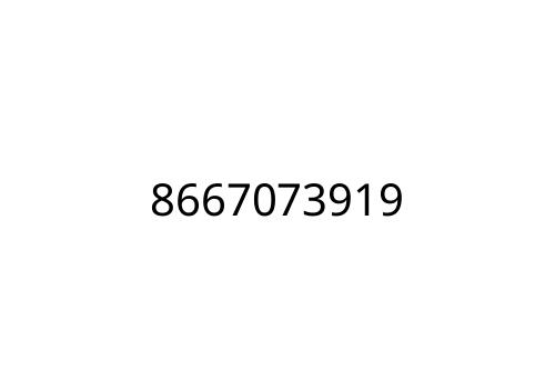 8667073919
