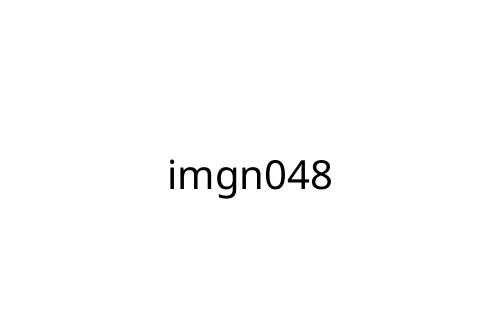 imgn048