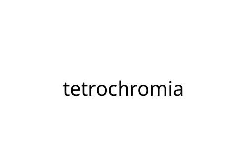 tetrochromia