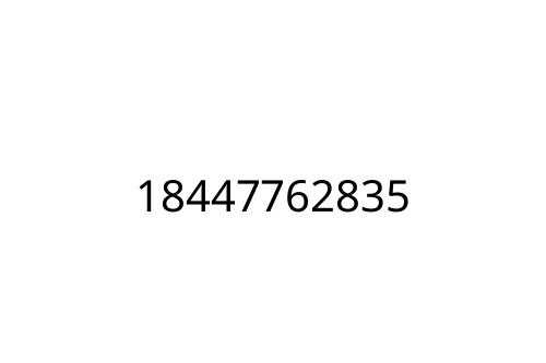 18447762835