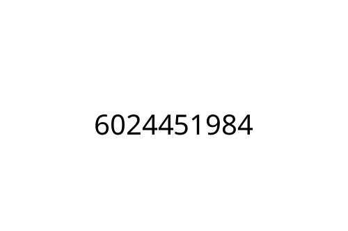 6024451984
