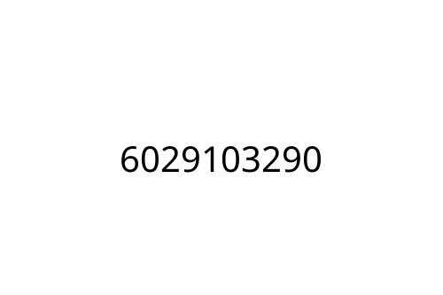 6029103290
