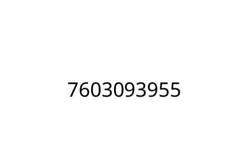 7603093955