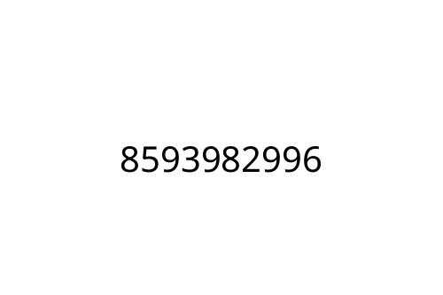 8593982996