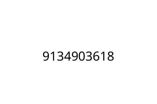 9134903618