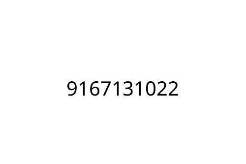 9167131022