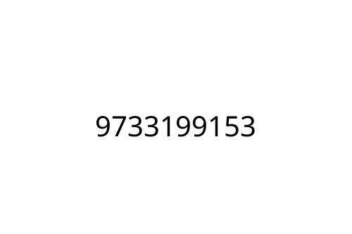 9733199153