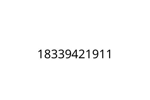 18339421911
