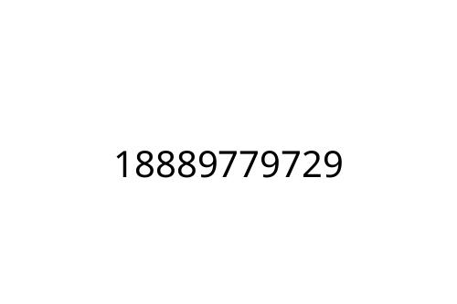 18889779729