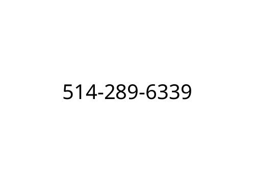 514-289-6339