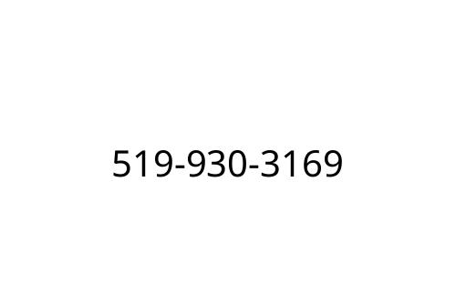 519-930-3169
