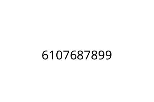 6107687899