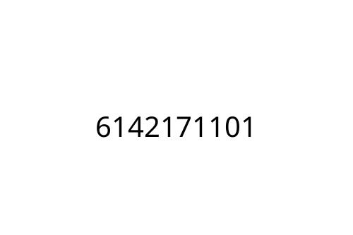 6142171101