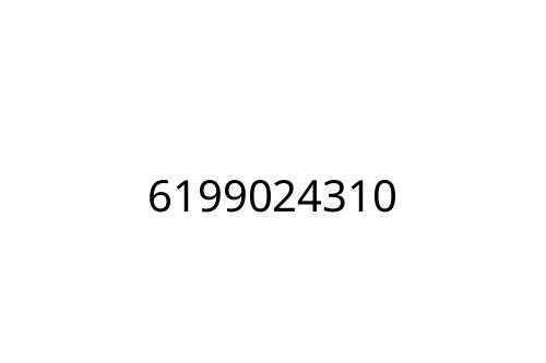 6199024310