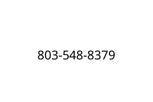 803-548-8379