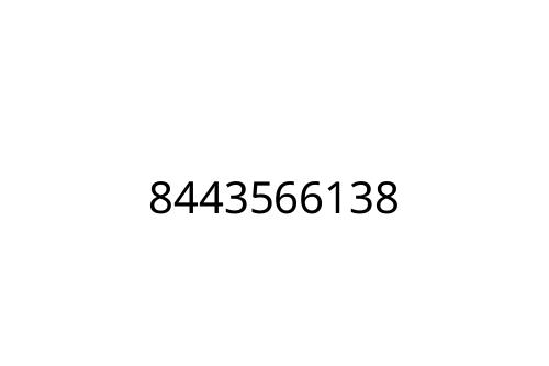 8443566138
