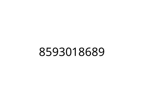 8593018689