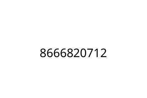 8666820712