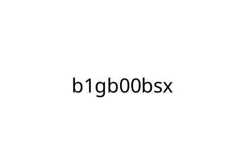 b1gb00bsx