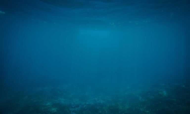 can i take food kayudapu on a plane