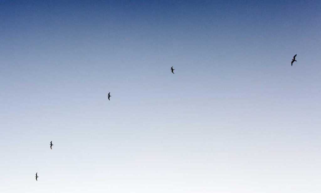 when dorgenven new version released