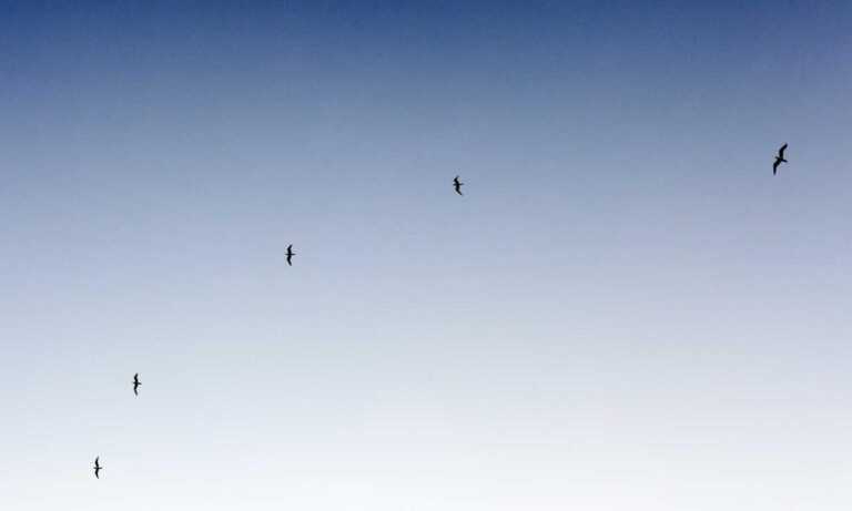 when dorgenven new version released