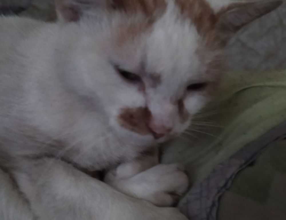 76ers vs orlando magic match player stats