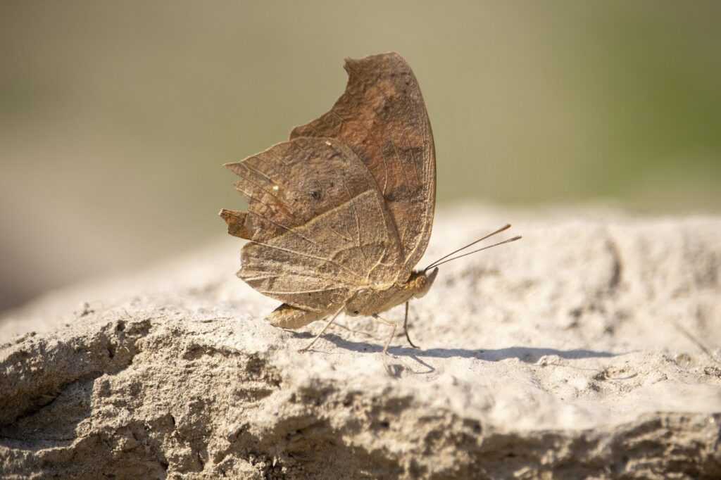 cute girly_m 3 best friends