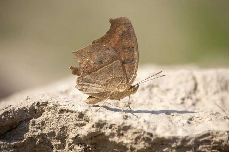 cute girly_m 3 best friends