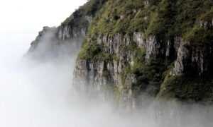 half half pair dp matching cute cartoon couple profile picture