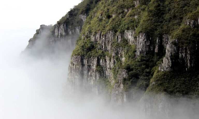 half half pair dp matching cute cartoon couple profile picture