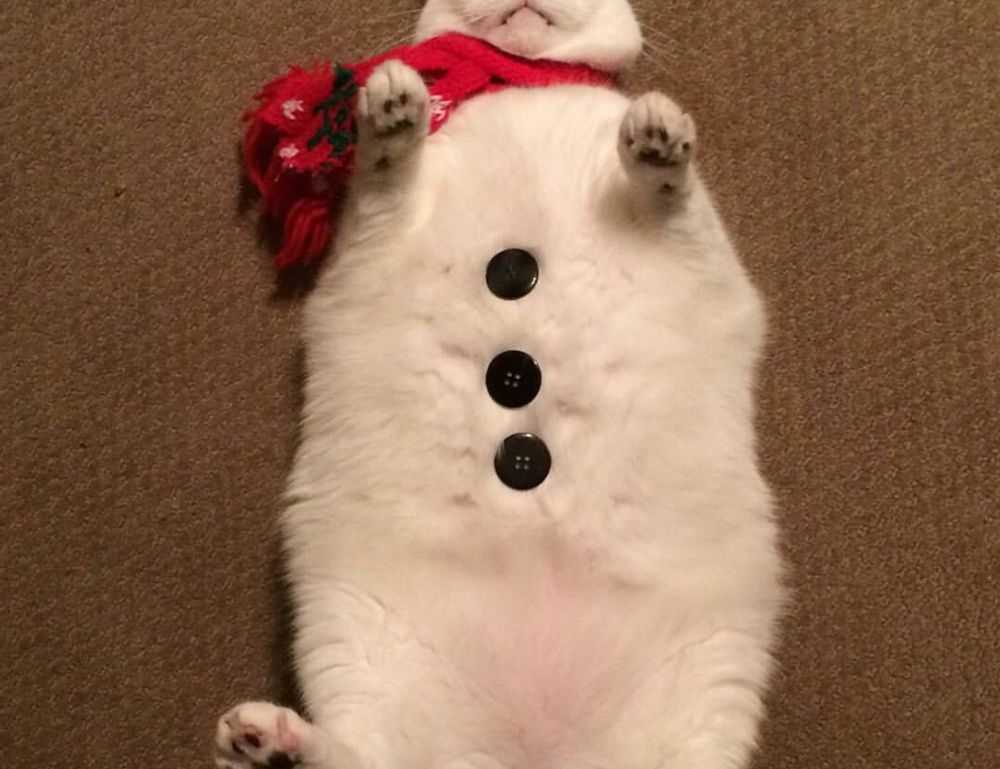 sophie stonehouse onlyfans