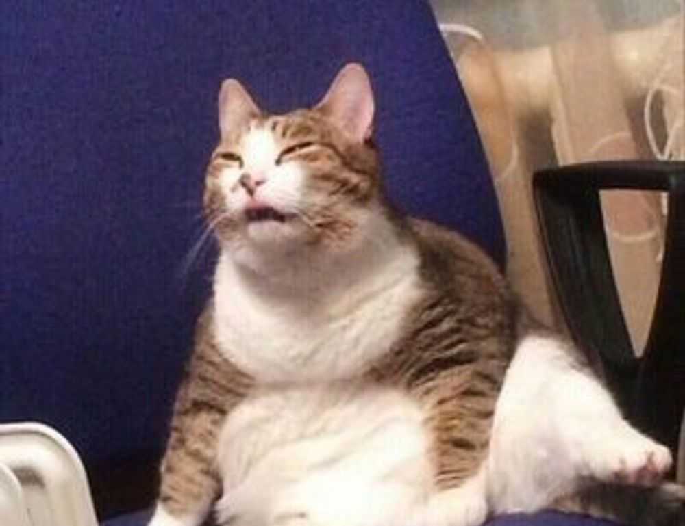 sxx sxx syy calculator excel