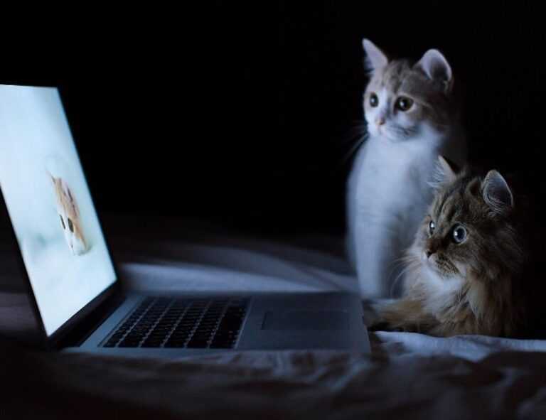 tatuaje en el medio de los senos