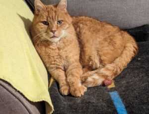 tortas de memes para hombres