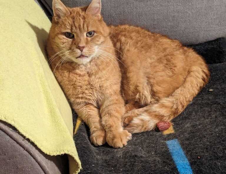 tortas de memes para hombres