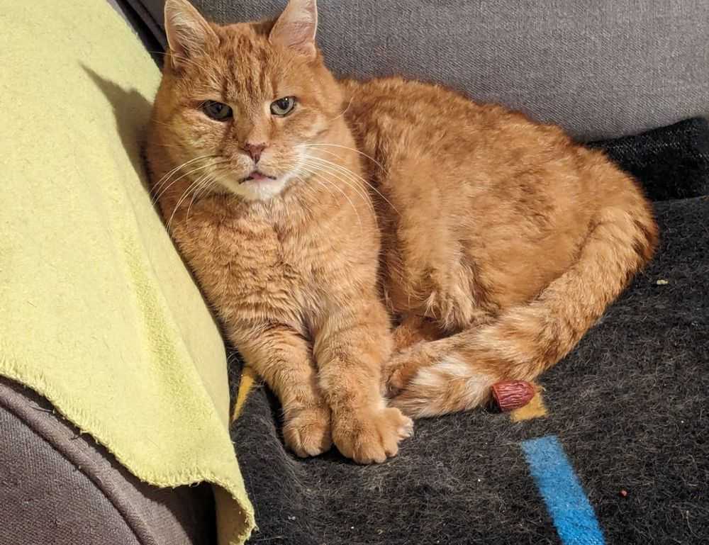 tortas de memes para hombres