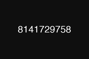 8141729758