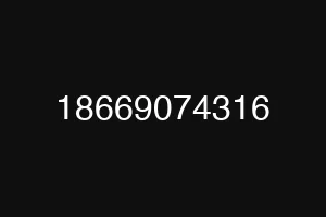 18669074316