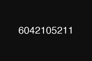 6042105211