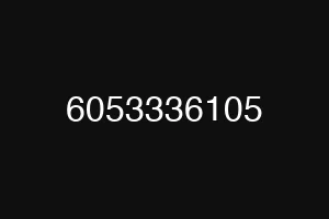 6053336105