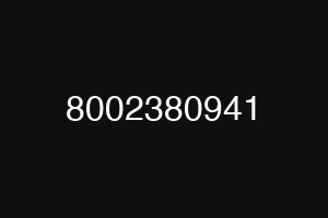 8002380941