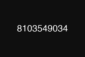8103549034