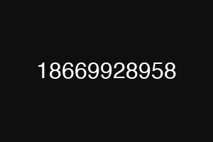 18669928958