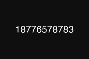 18776578783