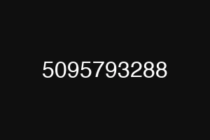 5095793288