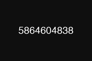5864604838