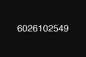 6026102549